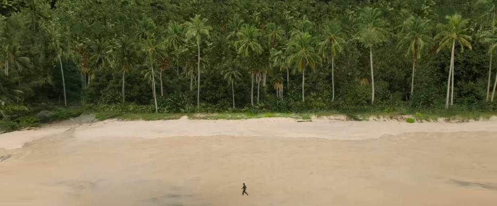 Plan vu d'en haut avec une forêt de palmiers en bord de plage qui prend la moitié de l'image. 

L'autre moitié est quasiment prise entièrement par la plage sur laquelle se balade l'héroïne qui semble mininuscule face à la nature.